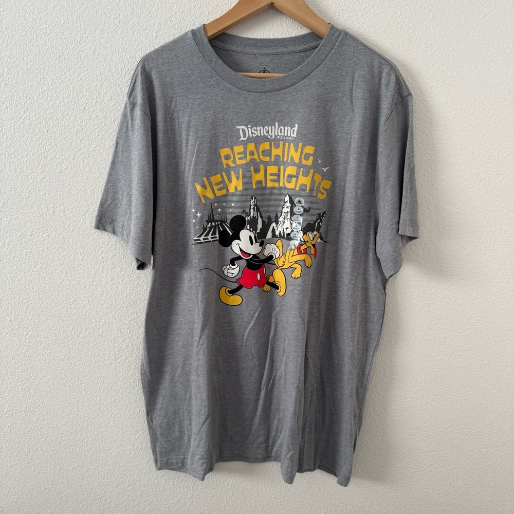 NWT Disney Gray Graphic T-Shirt attractions tee Disneyland size large